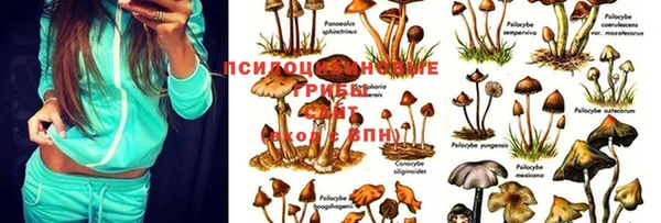 марки nbome Алексин