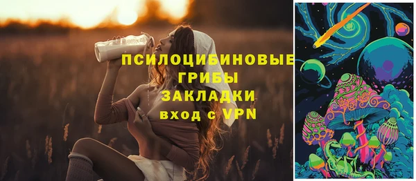 крисы Алексеевка