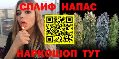 стафф Балаково