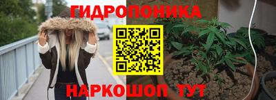 гашик Балашиха