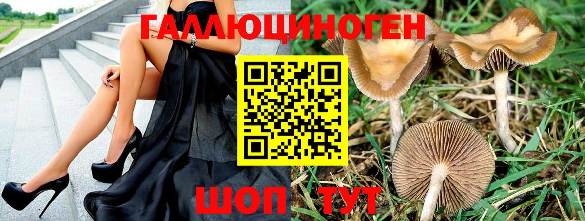 цена наркотик  Вход с VPN  Бийск  Галлюциногенные грибы Psilocybe  Галлюциногенные грибы MAGIC MUSHROOMS 